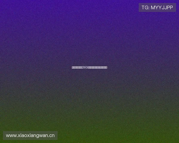 无插件观看体育360高清直播全赛事即时更新体验